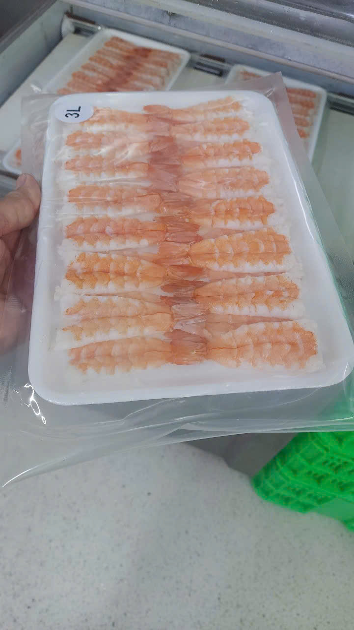 Cooked sushi ebi tray, size 3L