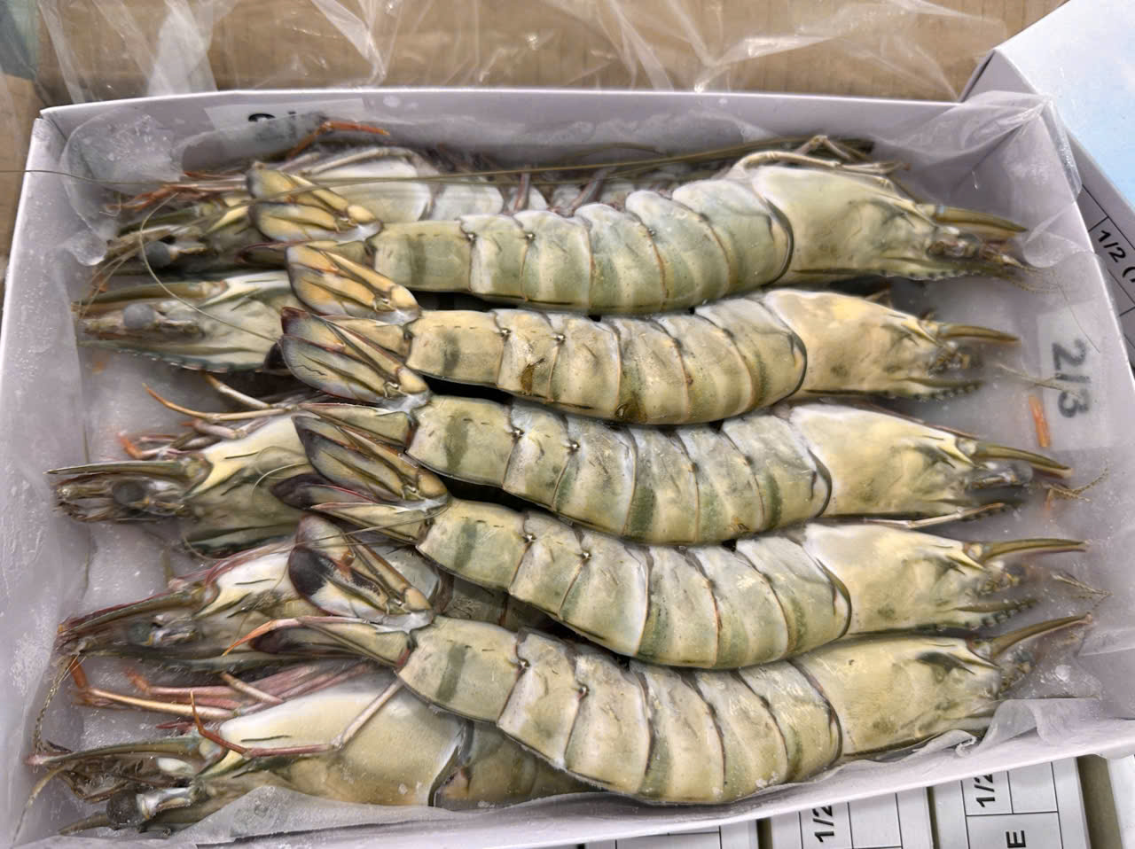 Black Tiger Shrimp