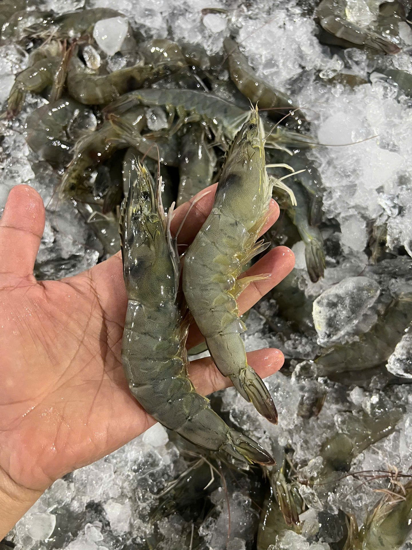 Size check by hand